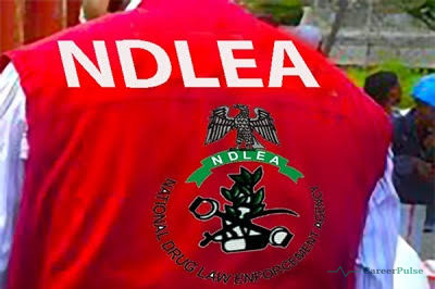 Next NDLEA Recruitment